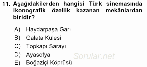 Film ve Video Kültürü 2015 - 2016 Ara Sınavı 11.Soru