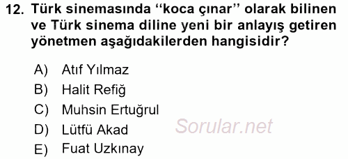 Film ve Video Kültürü 2015 - 2016 Ara Sınavı 12.Soru