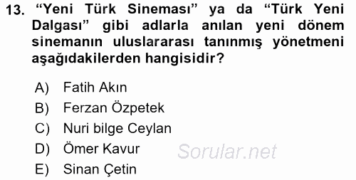 Film ve Video Kültürü 2015 - 2016 Ara Sınavı 13.Soru