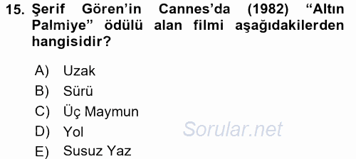 Film ve Video Kültürü 2015 - 2016 Ara Sınavı 15.Soru