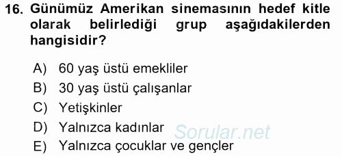 Film ve Video Kültürü 2015 - 2016 Ara Sınavı 16.Soru