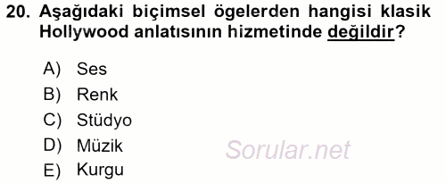 Film ve Video Kültürü 2015 - 2016 Ara Sınavı 20.Soru