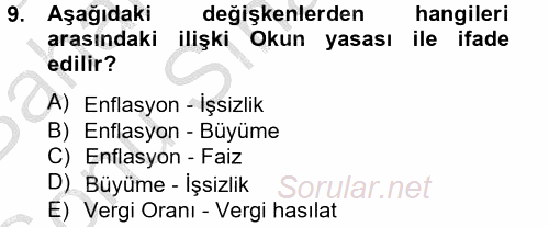 Ekonominin Güncel Sorunları 2012 - 2013 Dönem Sonu Sınavı 9.Soru