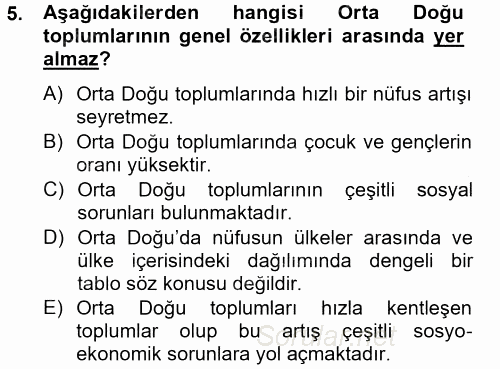 Orta Doğuda Siyaset 2014 - 2015 Tek Ders Sınavı 5.Soru