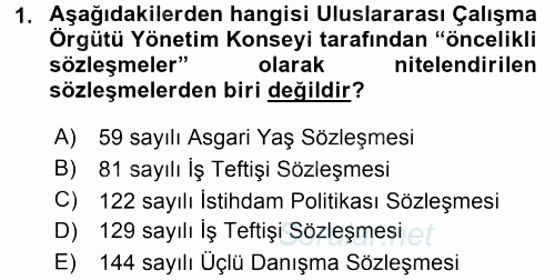 Uluslararası Sosyal Politika 2015 - 2016 Tek Ders Sınavı 1.Soru