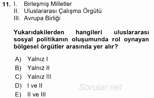 Uluslararası Sosyal Politika 2015 - 2016 Tek Ders Sınavı 11.Soru