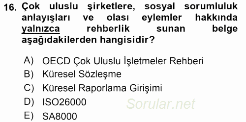 Uluslararası Sosyal Politika 2015 - 2016 Tek Ders Sınavı 16.Soru