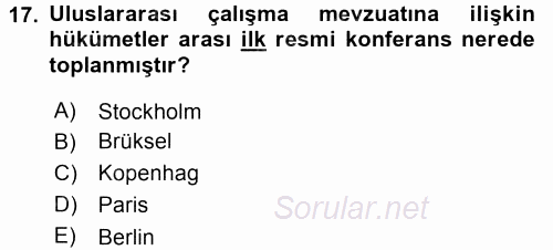 Uluslararası Sosyal Politika 2015 - 2016 Tek Ders Sınavı 17.Soru