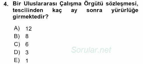 Uluslararası Sosyal Politika 2015 - 2016 Tek Ders Sınavı 4.Soru