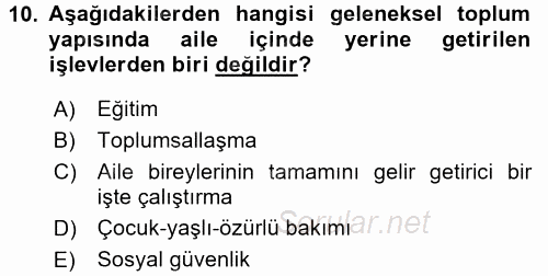 Aile Yapısı ve İlişkileri 2016 - 2017 Dönem Sonu Sınavı 10.Soru