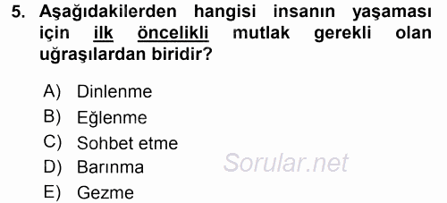 Aile Yapısı ve İlişkileri 2016 - 2017 Dönem Sonu Sınavı 5.Soru