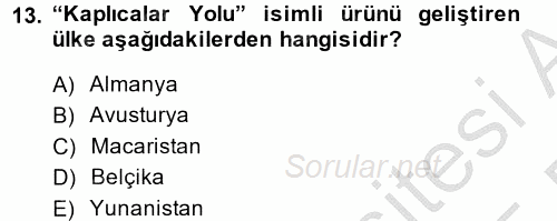 Termal ve Spa Hizmetleri 2014 - 2015 Ara Sınavı 13.Soru