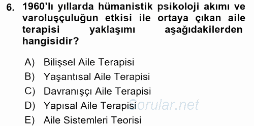 Anne Baba Eğitimi Ve Danışmanlık Hizmetleri 2016 - 2017 Dönem Sonu Sınavı 6.Soru