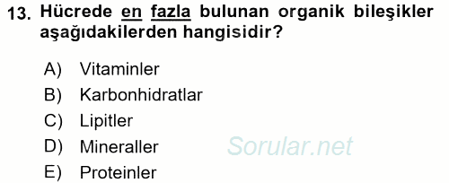 Gıda Bilimi ve Teknolojisi 2015 - 2016 Tek Ders Sınavı 13.Soru