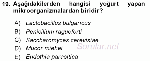 Gıda Bilimi ve Teknolojisi 2015 - 2016 Tek Ders Sınavı 19.Soru