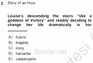 İngiliz/Amerikan Edebiyatı 1 2015 - 2016 Ara Sınavı 2.Soru