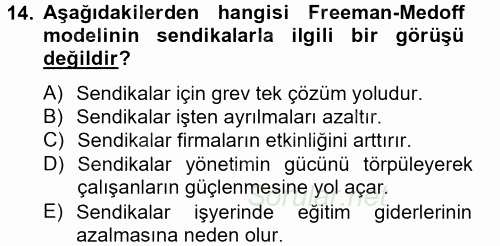 Çalışma Ekonomisi 2012 - 2013 Dönem Sonu Sınavı 14.Soru