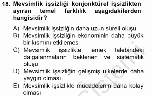 Çalışma Ekonomisi 2012 - 2013 Dönem Sonu Sınavı 18.Soru