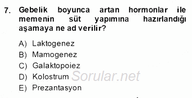 Anne Çocuk Sağlığı Ve İlkyardım 2013 - 2014 Dönem Sonu Sınavı 7.Soru