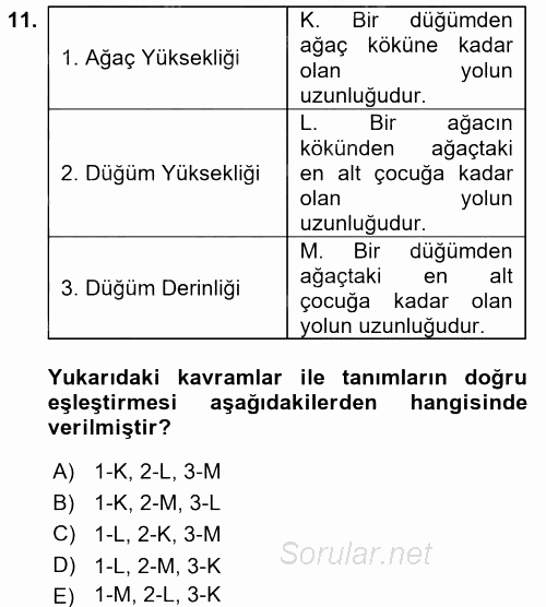 Programlama Ve Algoritmalar 2017 - 2018 Ara Sınavı 11.Soru
