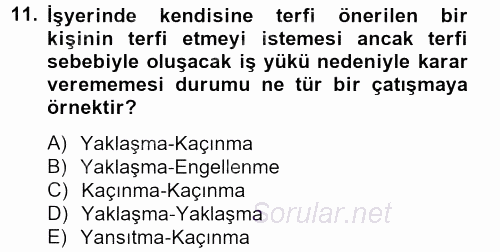 Birey ve Davranış 2012 - 2013 Dönem Sonu Sınavı 11.Soru