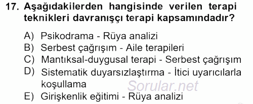 Birey ve Davranış 2012 - 2013 Dönem Sonu Sınavı 17.Soru