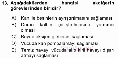 Bakım Elemanı Yetiştirme Ve Geliştirme 1 2016 - 2017 Dönem Sonu Sınavı 13.Soru