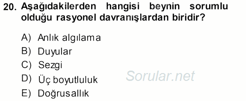 Medya Planlama 2013 - 2014 Ara Sınavı 20.Soru