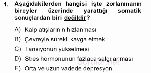 Çalışma Psikolojisi 2014 - 2015 Tek Ders Sınavı 1.Soru