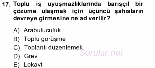 Çalışma Psikolojisi 2014 - 2015 Tek Ders Sınavı 17.Soru