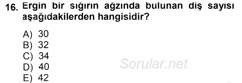 Temel Veteriner Anatomi 2014 - 2015 Ara Sınavı 16.Soru