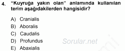 Temel Veteriner Anatomi 2014 - 2015 Ara Sınavı 4.Soru