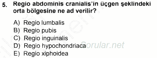 Temel Veteriner Anatomi 2014 - 2015 Ara Sınavı 5.Soru
