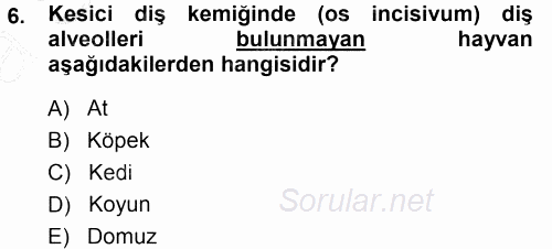 Temel Veteriner Anatomi 2014 - 2015 Ara Sınavı 6.Soru