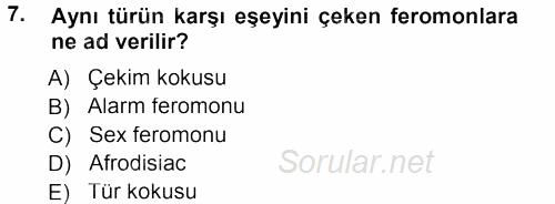 Entomoloji 2012 - 2013 Dönem Sonu Sınavı 7.Soru