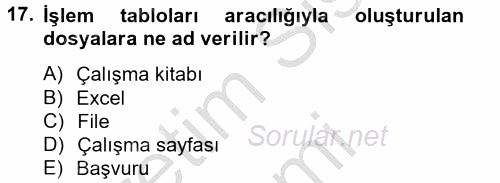 Dış Ticarette Bilgisayar Uygulamaları 2012 - 2013 Ara Sınavı 17.Soru