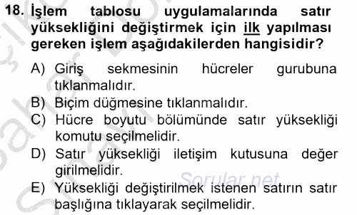 Dış Ticarette Bilgisayar Uygulamaları 2012 - 2013 Ara Sınavı 18.Soru