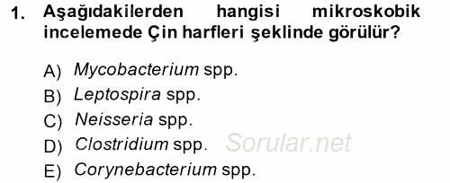 Temel Veteriner Mikrobiyoloji ve İmmünoloji 2014 - 2015 Dönem Sonu Sınavı 1.Soru