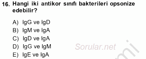 Temel Veteriner Mikrobiyoloji ve İmmünoloji 2014 - 2015 Dönem Sonu Sınavı 16.Soru