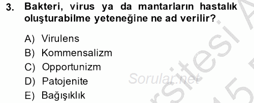 Temel Veteriner Mikrobiyoloji ve İmmünoloji 2014 - 2015 Dönem Sonu Sınavı 3.Soru