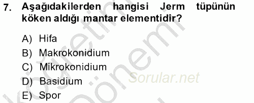 Temel Veteriner Mikrobiyoloji ve İmmünoloji 2014 - 2015 Dönem Sonu Sınavı 7.Soru