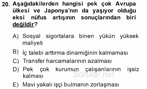 Ekonominin Güncel Sorunları 2013 - 2014 Ara Sınavı 20.Soru
