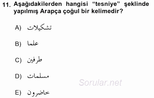 Osmanlı Türkçesi Grameri 1 2016 - 2017 Ara Sınavı 11.Soru