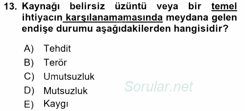 Birey ve Davranış 2017 - 2018 3 Ders Sınavı 13.Soru