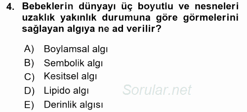 Birey ve Davranış 2017 - 2018 3 Ders Sınavı 4.Soru