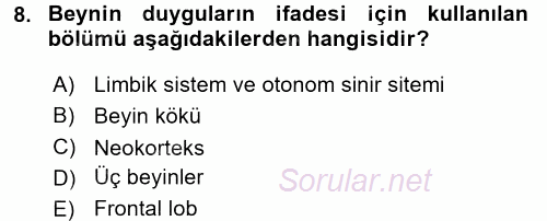 Birey ve Davranış 2017 - 2018 3 Ders Sınavı 8.Soru