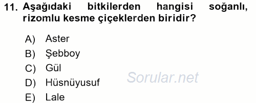 Peyzaj Çevre ve Tarım 2015 - 2016 Tek Ders Sınavı 11.Soru