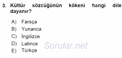 Küreselleşme ve Kültürlerarası İletişim 2015 - 2016 Dönem Sonu Sınavı 3.Soru