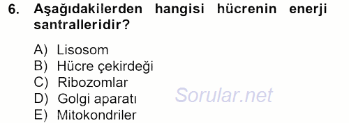 Gıda Bilimi ve Teknolojisi 2012 - 2013 Ara Sınavı 6.Soru