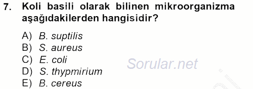 Gıda Bilimi ve Teknolojisi 2012 - 2013 Ara Sınavı 7.Soru